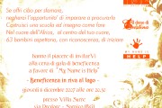Cena in riva al lago